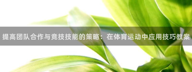 提高团队合作与竞技技能的策略：在体育运动中应用技巧教案
