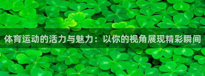 体育运动的活力与魅力：以你的视角展现精彩瞬间