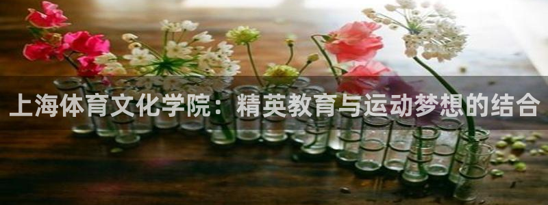 上海体育文化学院：精英教育与运动梦想的结合
