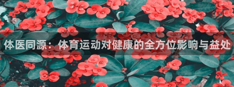 体医同源：体育运动对健康的全方位影响与益处