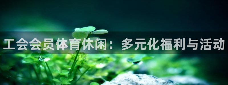 工会会员体育休闲：多元化福利与活动