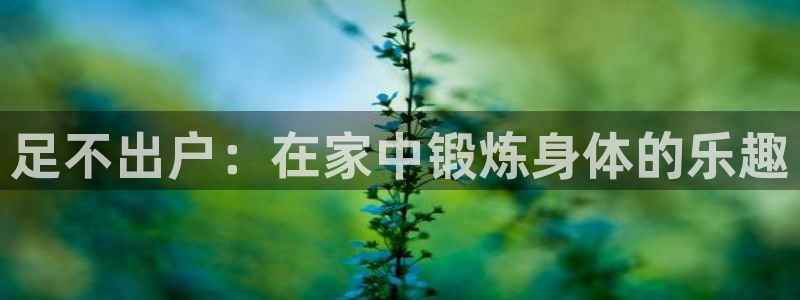 足不出户：在家中锻炼身体的乐趣