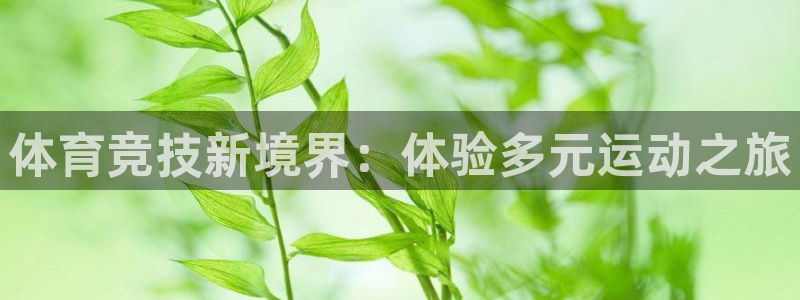 体育竞技新境界：体验多元运动之旅